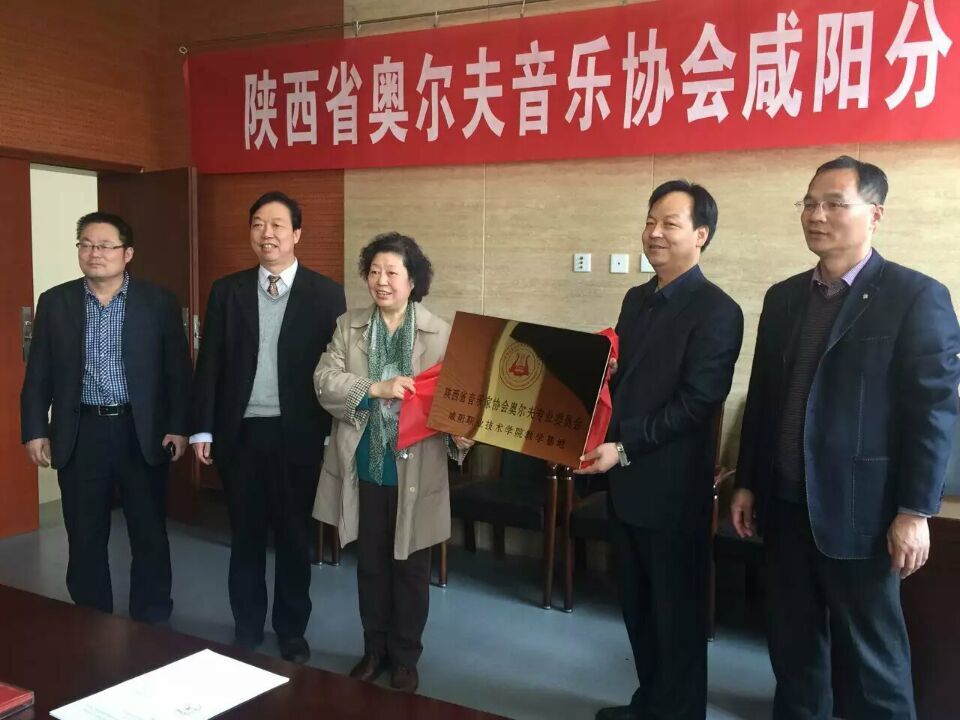 热烈祝贺陕西省音乐家协会咸阳奥尔夫分会成立